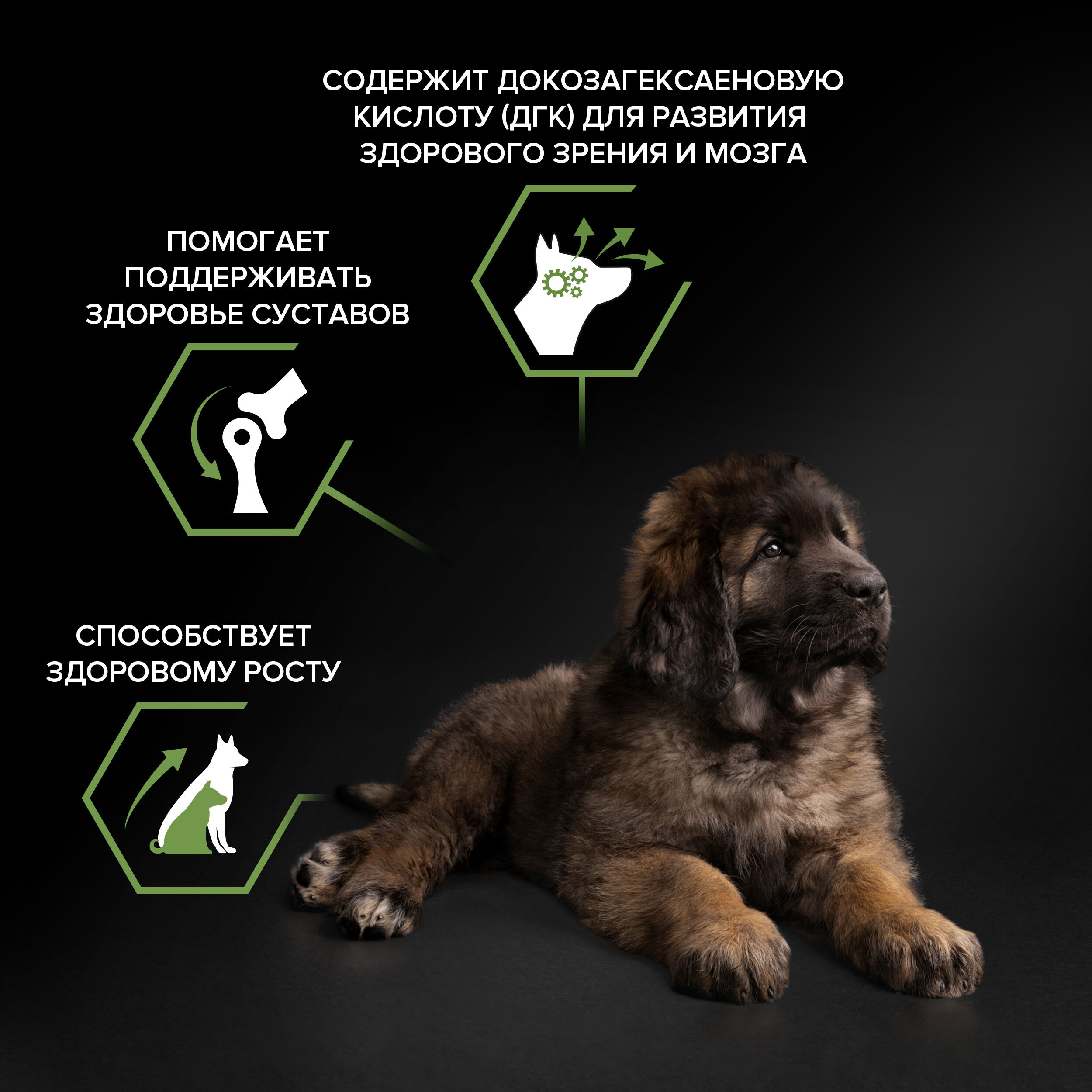 Сухой корм для щенков PRO PLAN для крупных пород с мощным телосложением курица, 12кг 7613035120341
