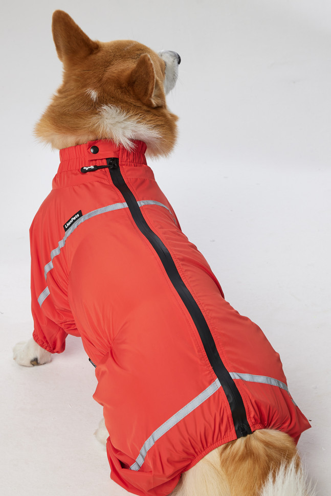 Дождевик LionPets Корги LPK-9125-29 на девочку Цвет: Оранжевый (девочка Размер 2 (спинка 50, обхват шеи 36-47, обхват груди 60-78))
