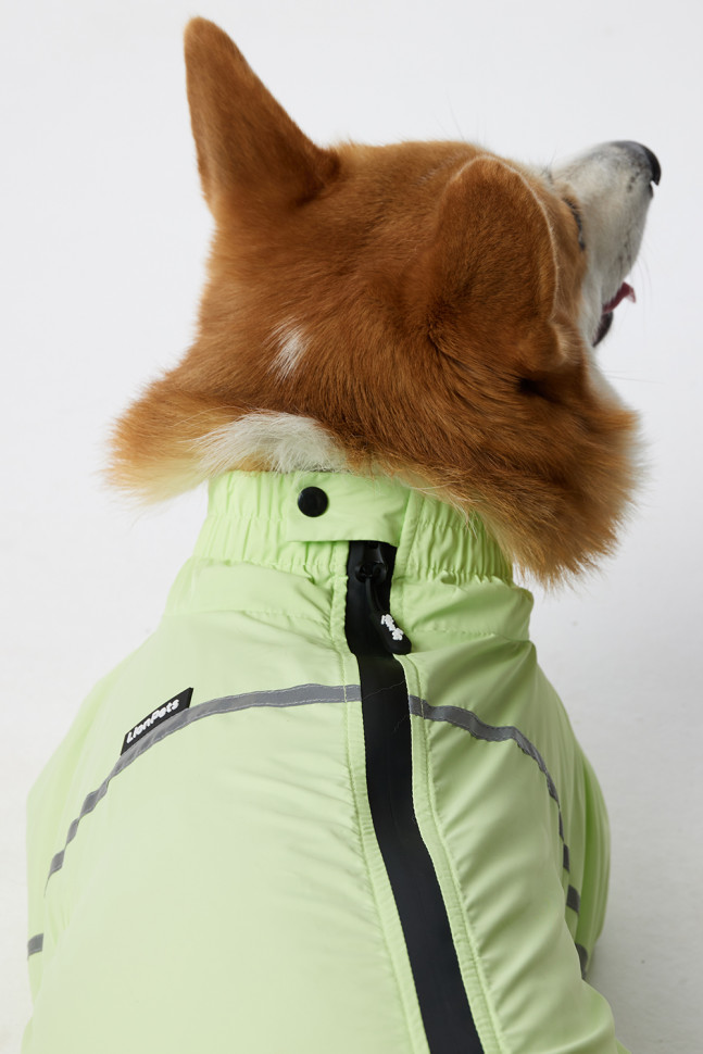 Дождевик LionPets Корги LPK-9125-4 на девочку Цвет: Салатовый (девочка Размер 3 (спинка 53, обхват шеи 40-48, обхват груди 60-82))