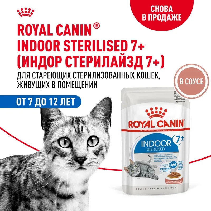 Royal Canin Indoor Sterilised 7+ Влажный корм для кошек живущих в помещении, мелкие кусочки в соусе, 85гр