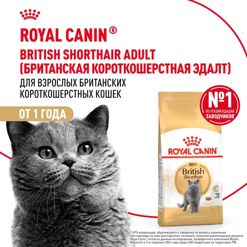 ROYAL CANIN British Adult корм для Британских кошек 2 кг 4627109382484