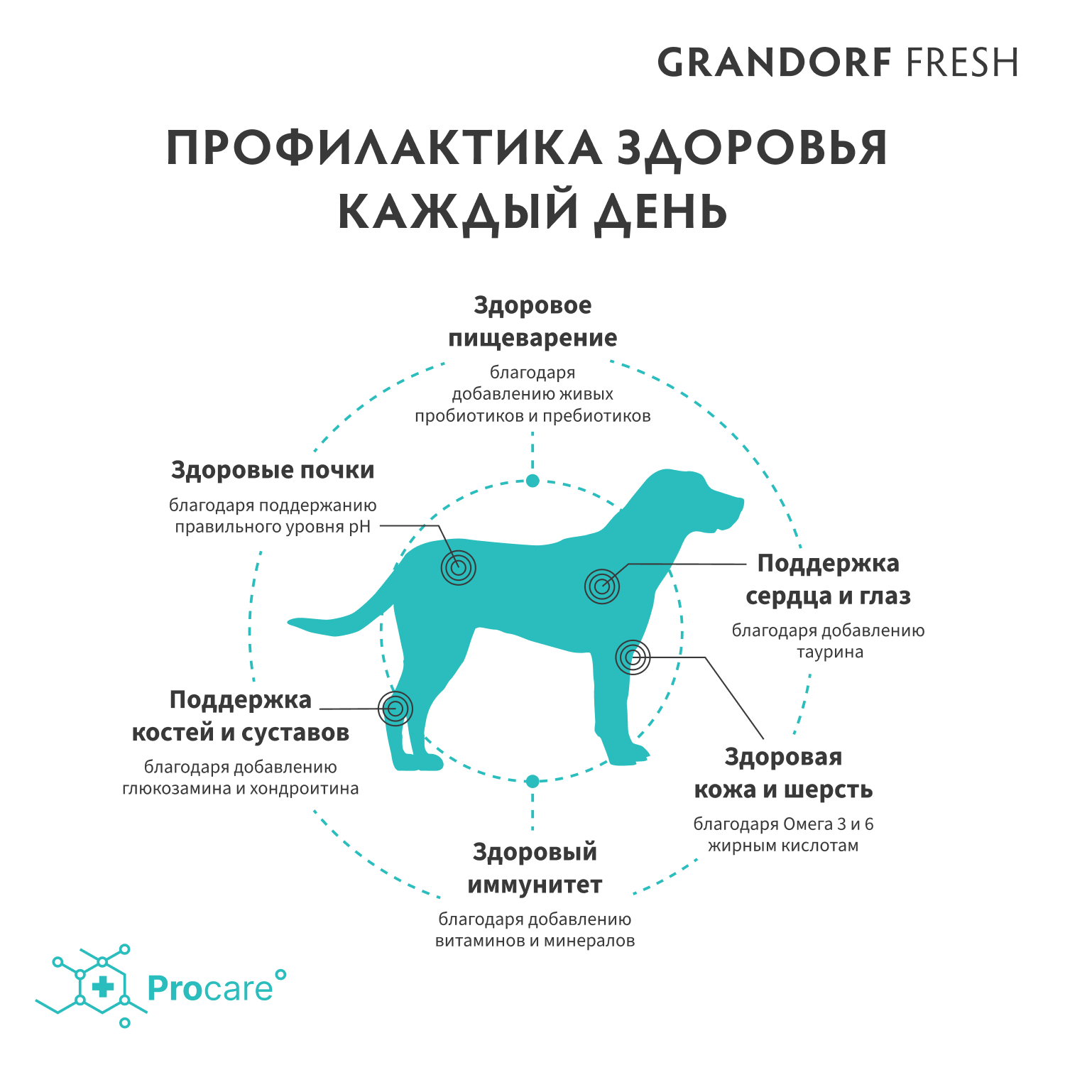Grandorf Fresh для взрослых собак крупных пород с лососем 10 кг 5407007853298