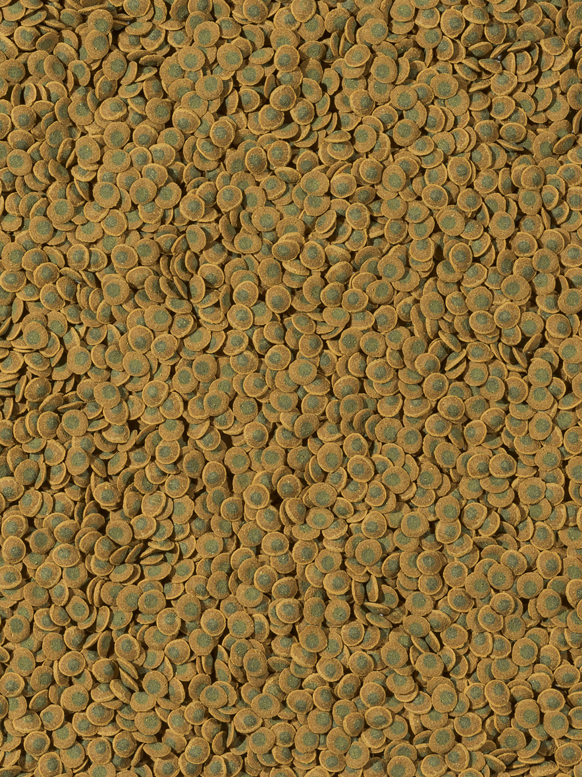 TetraPleco Veggie Wafers корм-пластинки с добавлением цуккини для донных рыб 15 г
