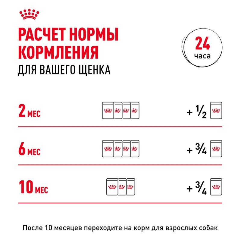 Влажный корм Royal Canin Mini Puppy для щенков мелких пород в возрасте до 10 месяцев, кусочки в соусе 85гр