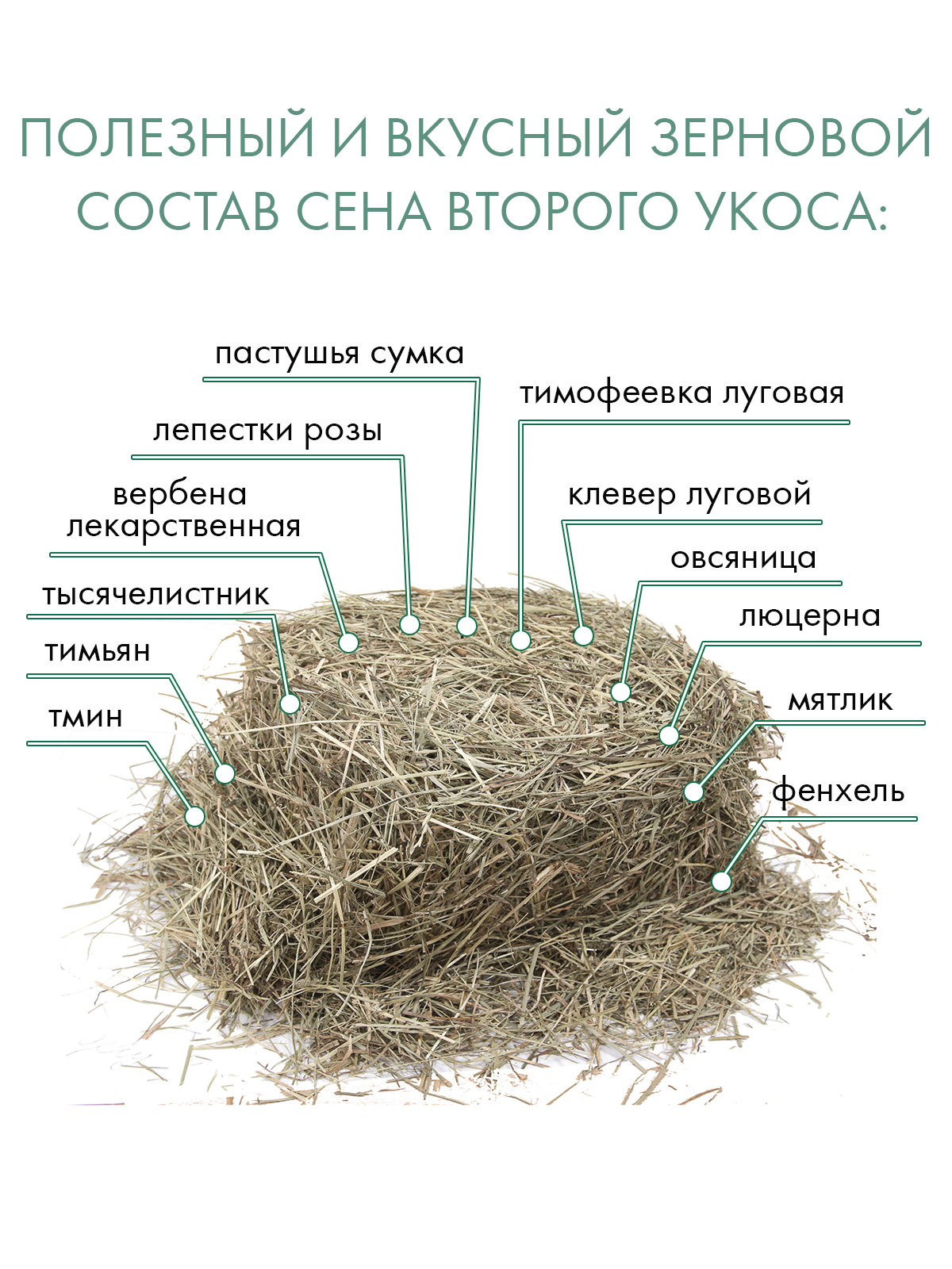 Сено Fiory Alpiland Green альпийское с люцерной 500 г