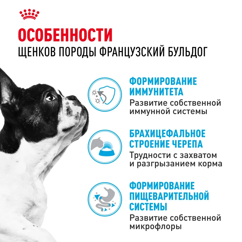 Сухой корм Royal Сanin French Bulldog Puppy для щенков породы французский бульдог 3кг