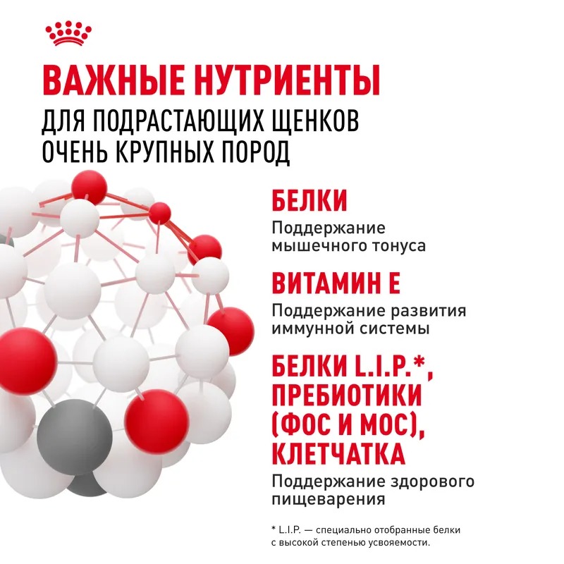 ROYAL CANIN Giant Junior корм сухой для щенков гигантских пород 3,5 кг