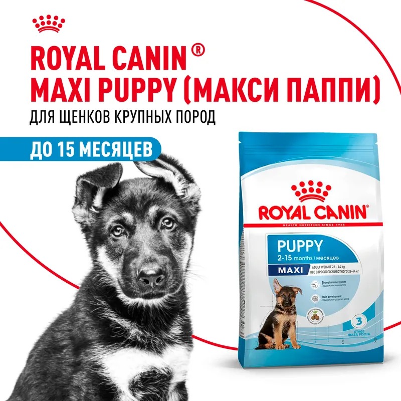 ROYAL CANIN Maxi Puppy сухой корм для щенков крупных пород 15кг 4627109387779
