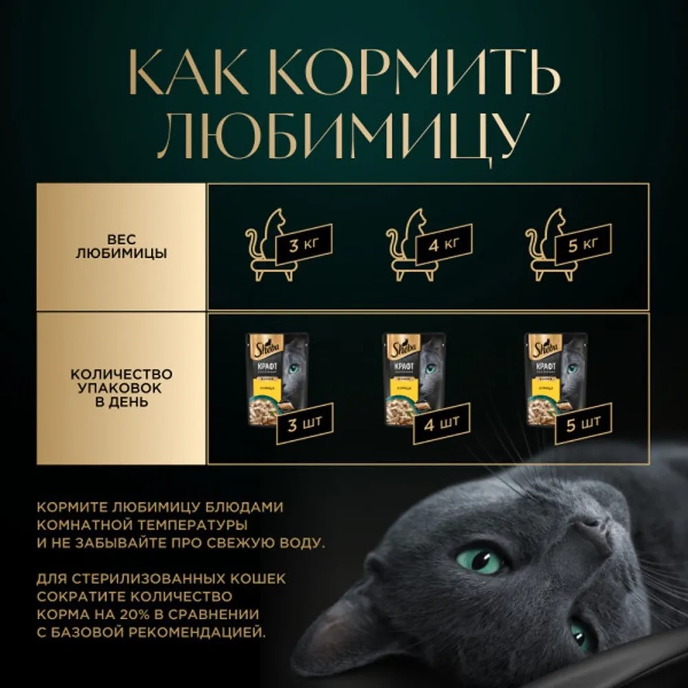 Sheba Крафт Влажный корм для кошек, курица в соусе, 75гр