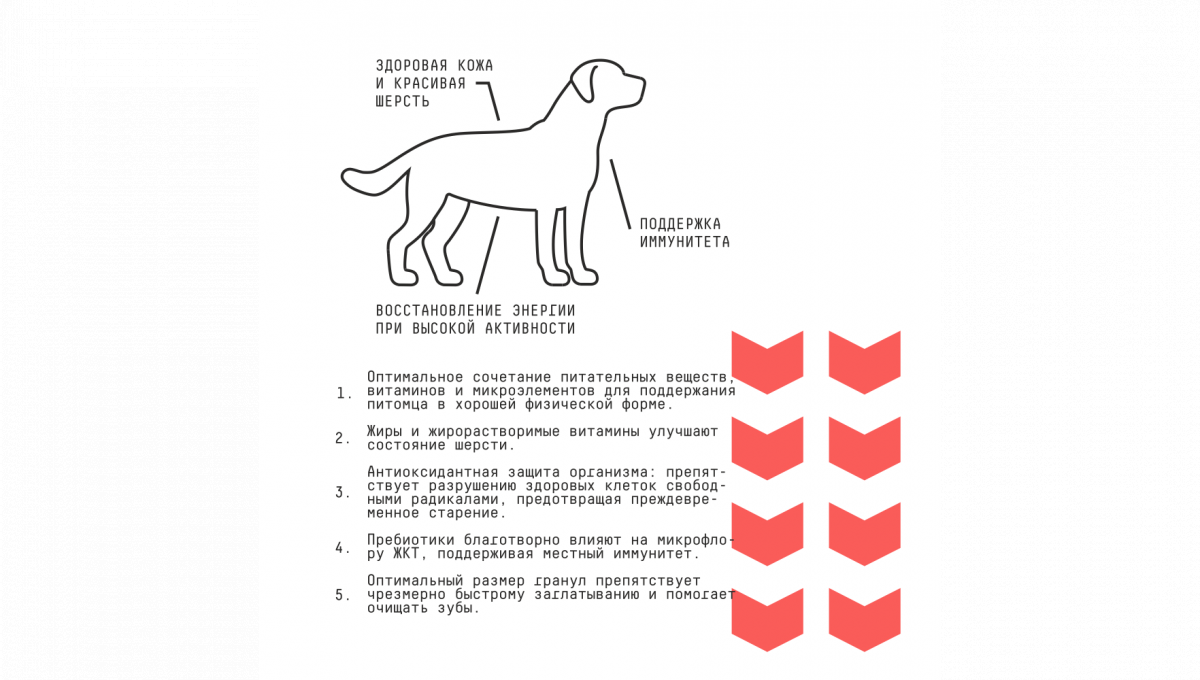 Ajo Сухой корм для собак средних пород Medium Adult говядина 12 кг 4630169560402