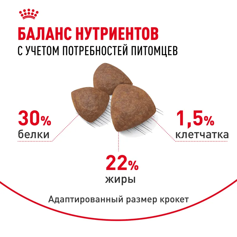 Сухой корм Royal Canin Medium Starter для щенков средних пород до 2-х месяцев, беременных и кормящих сук, 12 кг