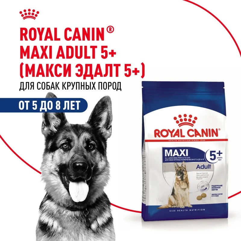 Royal Canin Maxi Adult 5+ Сухой корм для собак крупных пород старше 5 лет 15кг