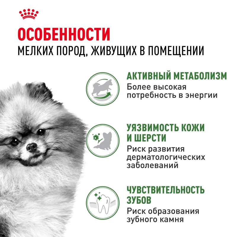 Сухой корм для собак Royal Canin, для малых пород, живущих в помещении 3 кг