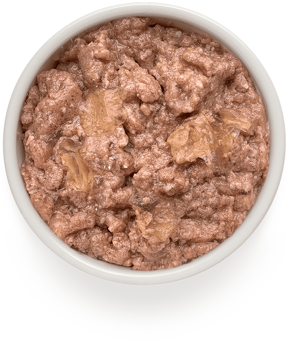 Grandorf GRANDORF Консервы для собак паштет из индейки 200гр