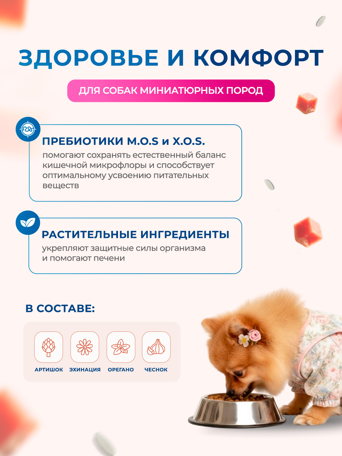 Сухой корм Monge Dog Speciality Line Extra Small для взрослых собак миниатюрных пород ягненок с рисом и картофелем 800 г