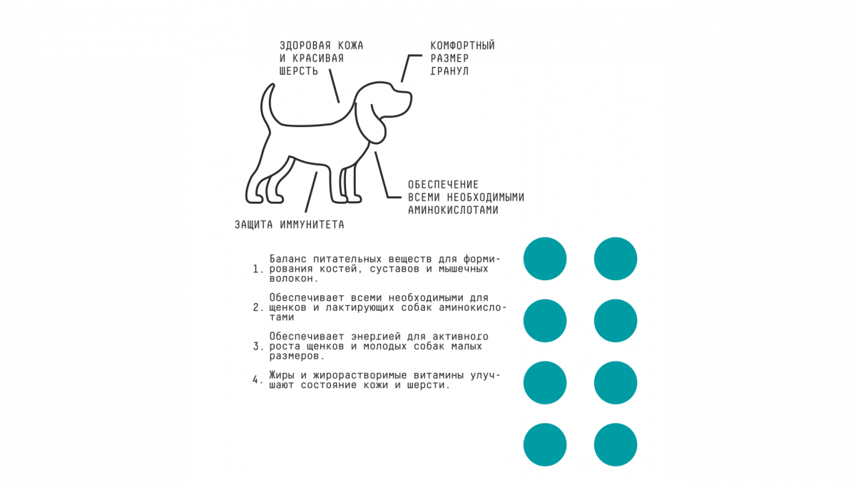 Ajo Сухой корм для щенков малых пород Mini puppy&junior с курицей 2 кг 4630169560365