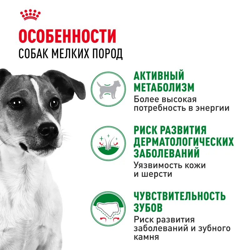ROYAL CANIN ROYAL CANIN Mini Adult для взрослых собак мелких пород 8 кг 4627109384631