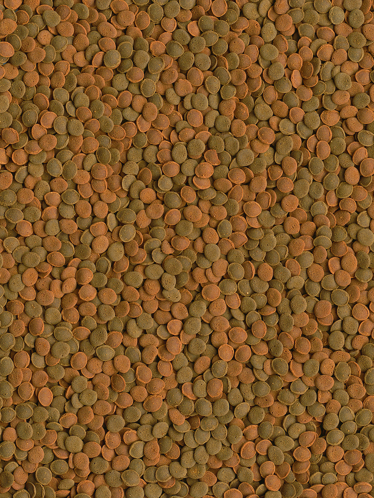 TetraWaferMix Mini корм в мини-чипсах для всех мелких донных рыб 100 мл