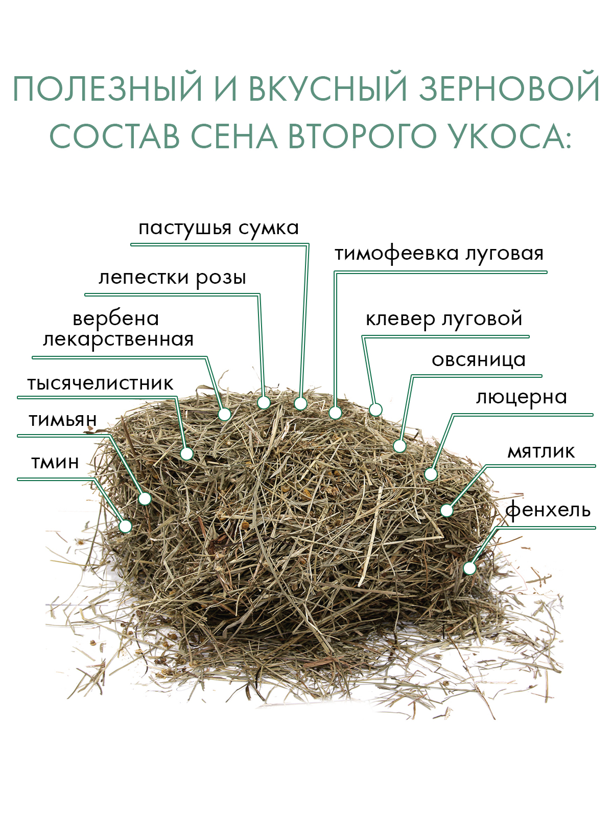 Сено Fiory Alpiland Camomile альпийское с ромашкой 500 г