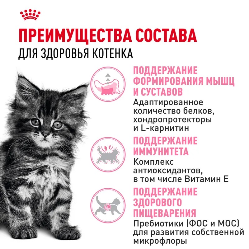 ROYAL CANIN Maine Coon Сухой корм для котят породы Мэйн Кун 400 гр 4627109383269