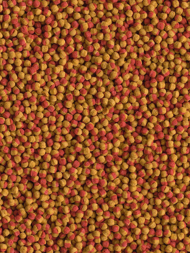 TetraCichlid Colour корм для всех видов цихлид для улучшения окраса 10 л (ведро)