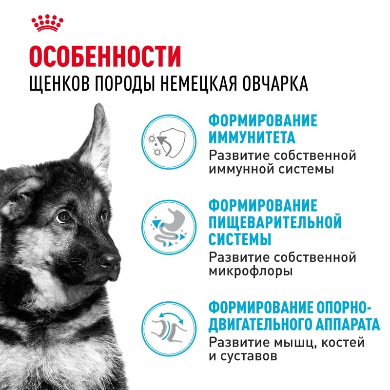 Royal Canin  Сухой корм для щенков German Shepherd Puppy, для породы Немецкая Овчарка 12 кг