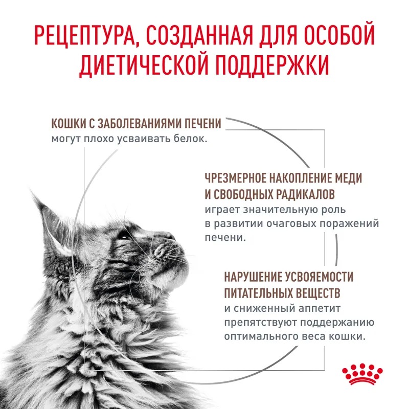 ROYAL CANIN Hepatic корм для кошек для печени 2 кг 4627109385607
