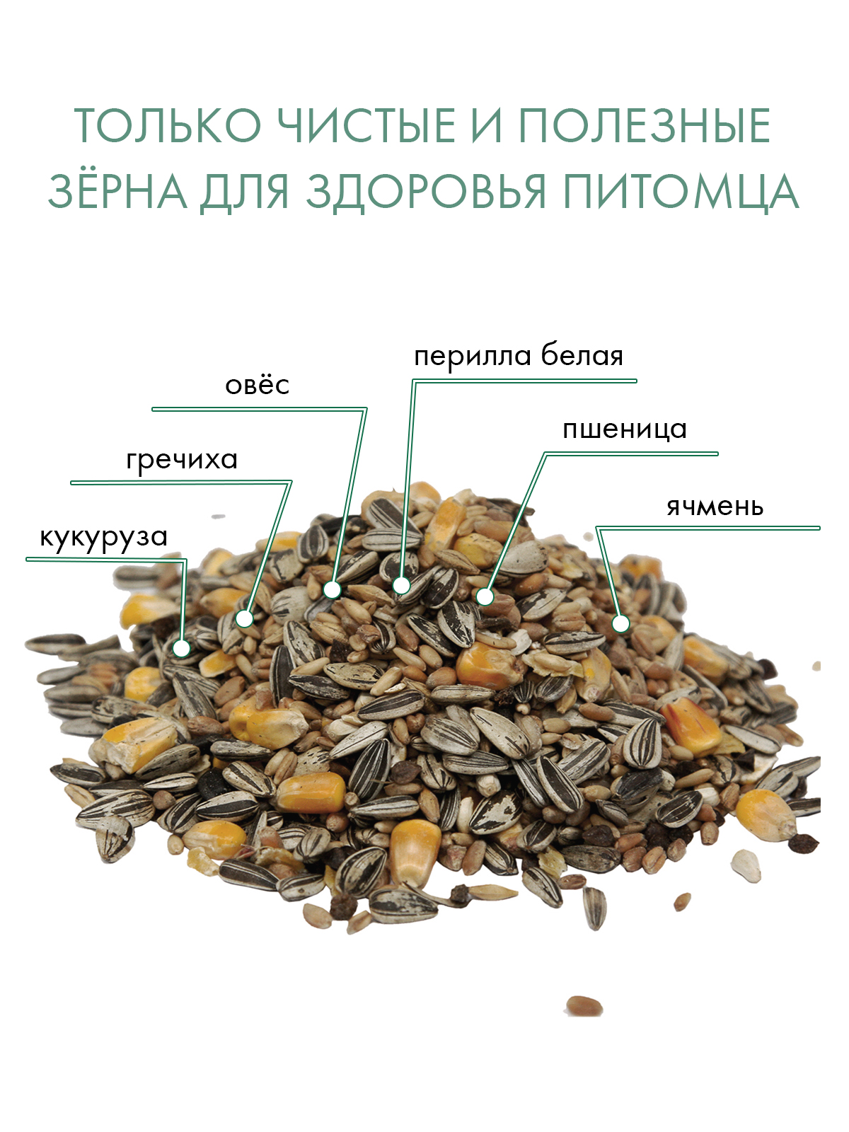 Корм Fiory Classic для крупных попугаев 600 г