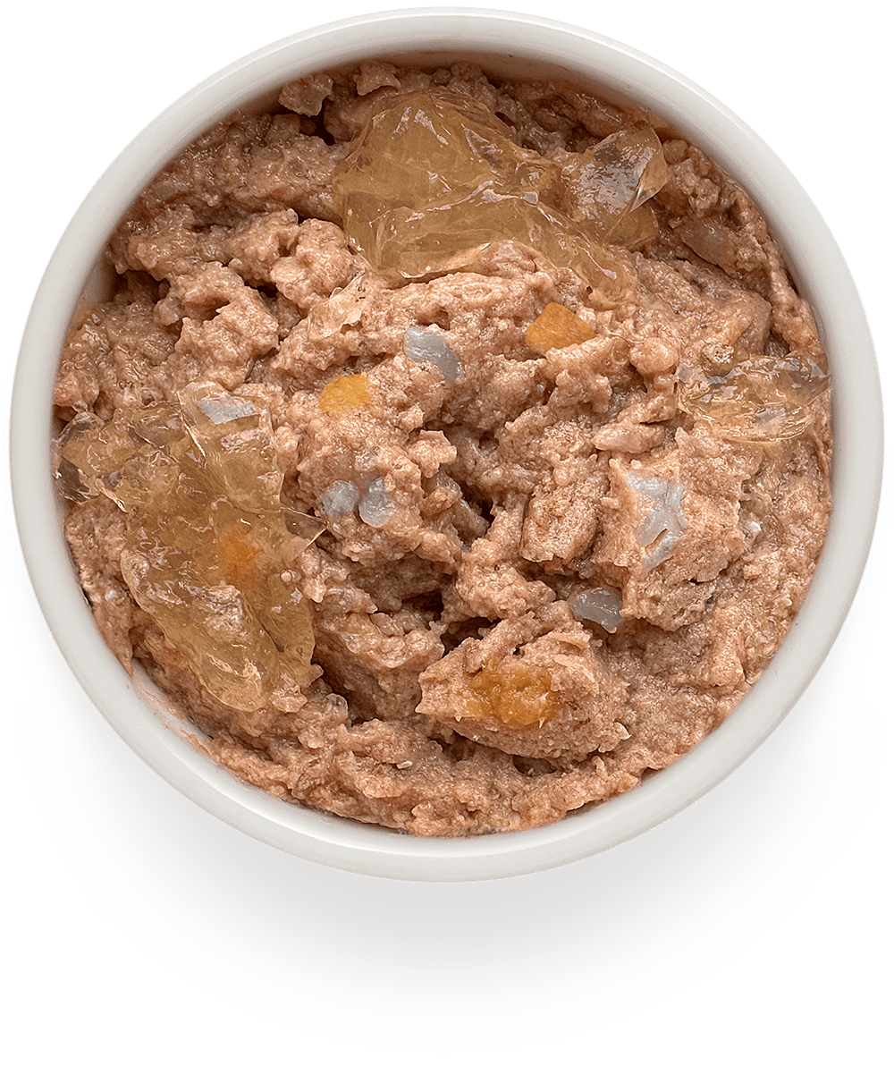 Grandorf Fresh Консервы для собак паштет из утки с бататом 200гр