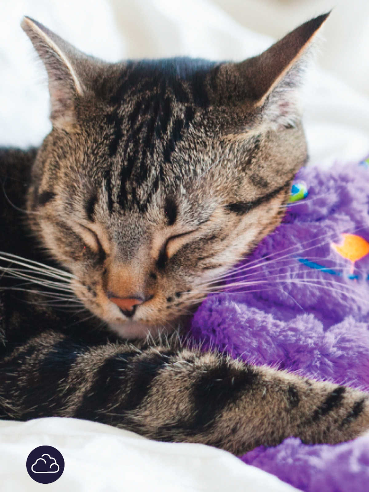 Игрушка Catstages для кошек "Мурчащая подушка" с кошачьей мятой, 30см