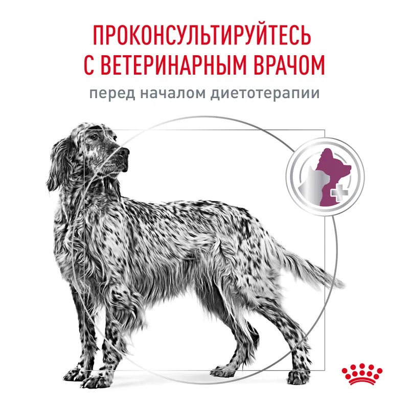 ROYAL CANIN Renal корм для собак для почек 2 кг 4627109385331