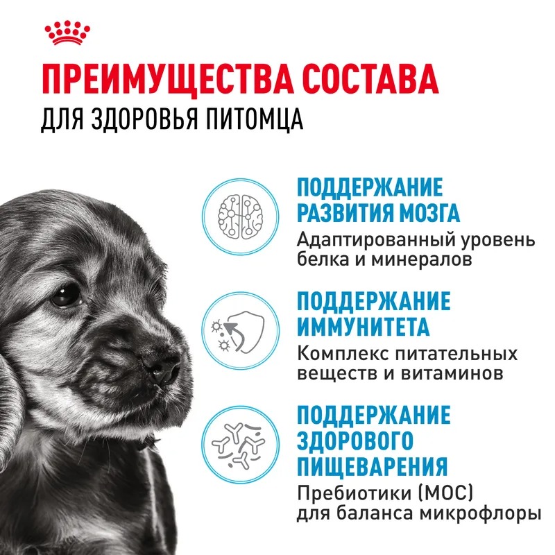 Сухой корм ROYAL CANIN Mini Puppy для щенков мелких пород до 10 месяцев 4 кг 4627109387625