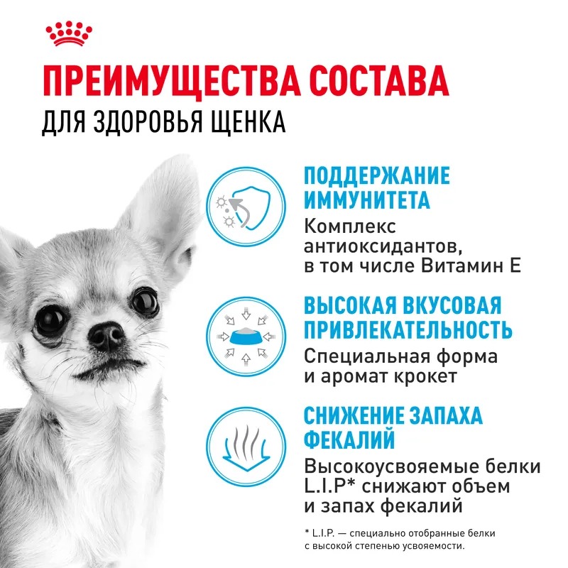 Royal Canin Сухой корм для щенков  Chihuahua Puppy, для породы Чихуахуа 1,5 кг