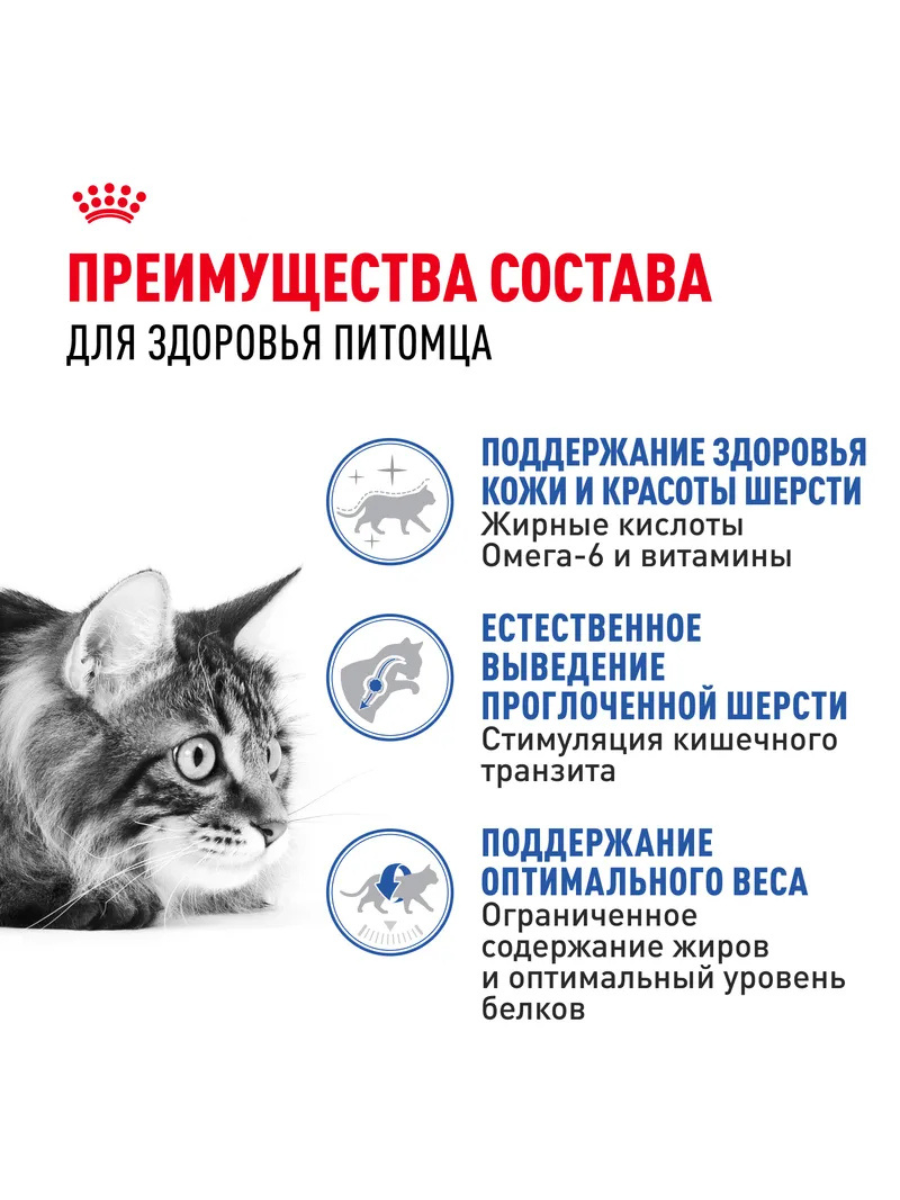 ROYAL CANIN Сухой корм для длинношерстных кошек живущих в помещении 400г
