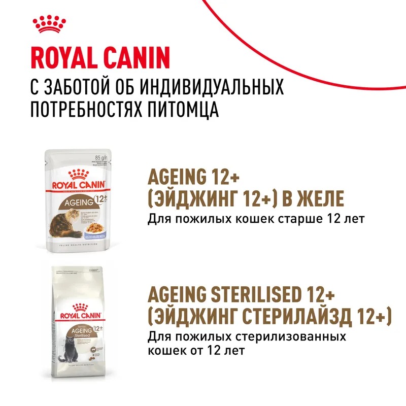 Royal Canin Ageing 12+ Влажный корм для стареющих кошек в возрасте старше 12 лет, мелкие кусочки в соусе,  85гр