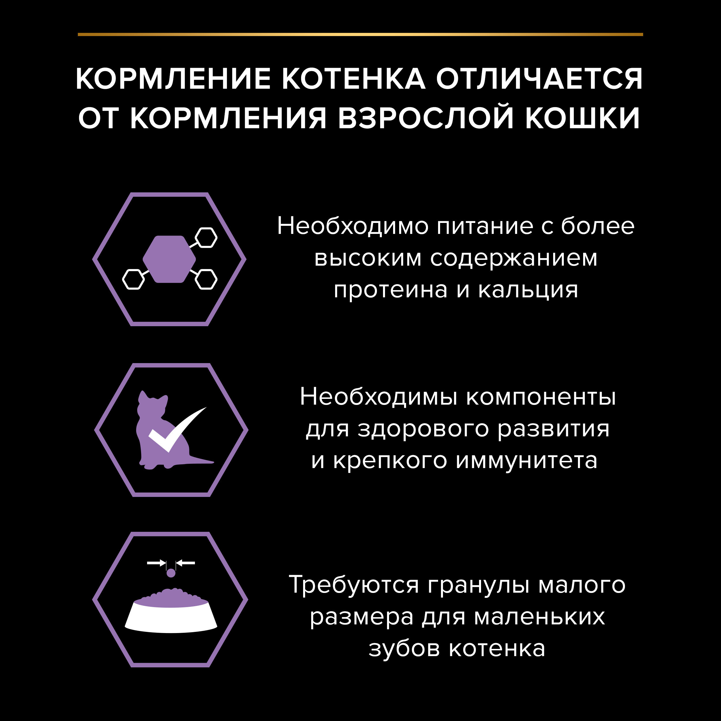 PROPLAN HEALTHY START Влажный корм для котят, с говядиной в соусе, 85 г 7613035591202