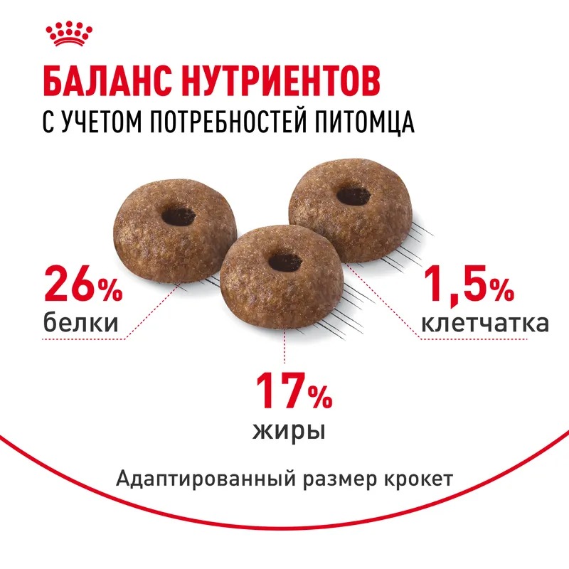 ROYAL CANIN Derma Корм для мелких собак при раздражениях и зуде кожи 1кг 4627150231571