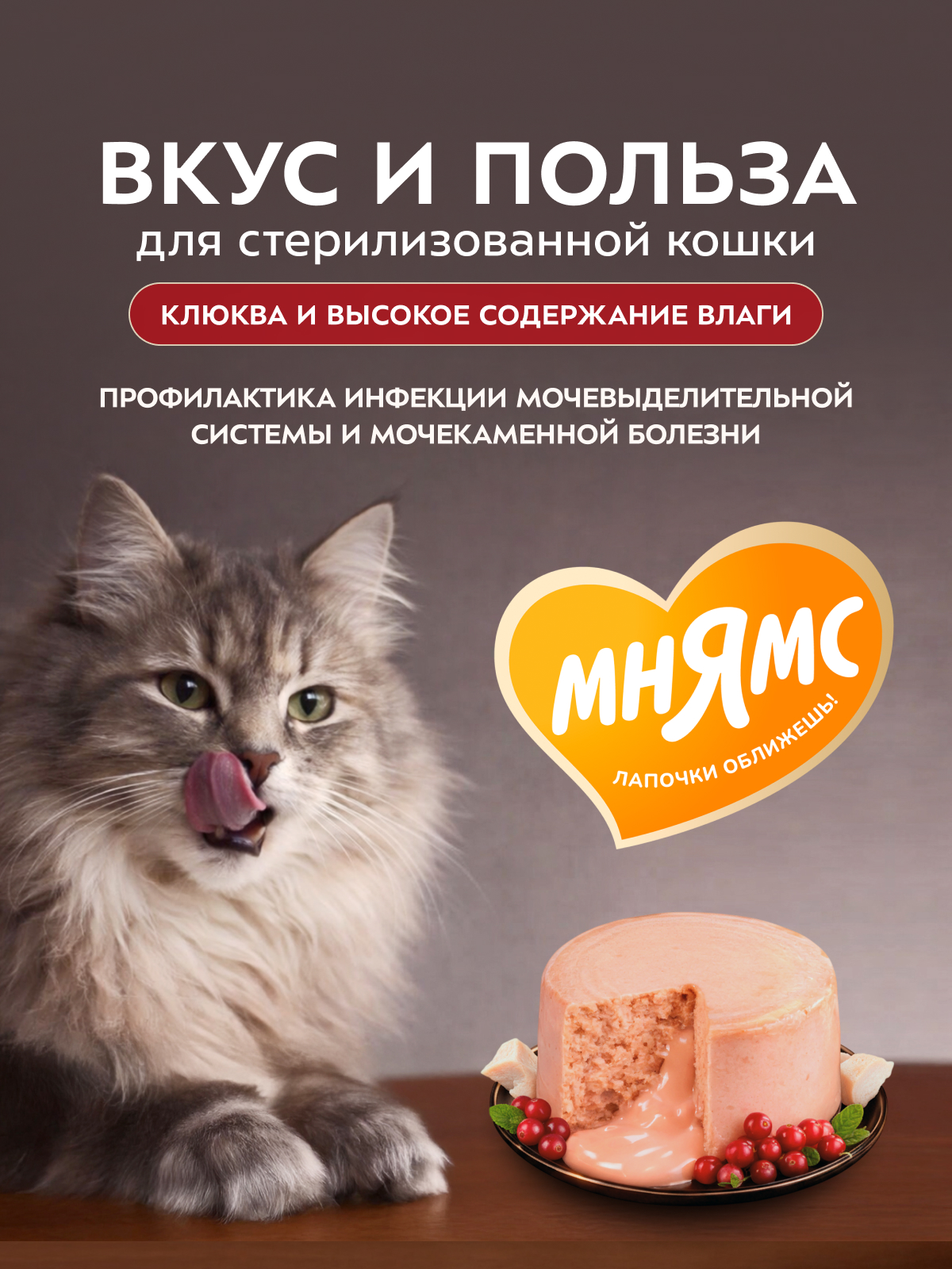Влажный корм Мнямс Деликатес "Фондан" из мяса курицы с клюквой для стерилизованных кошек 80 г