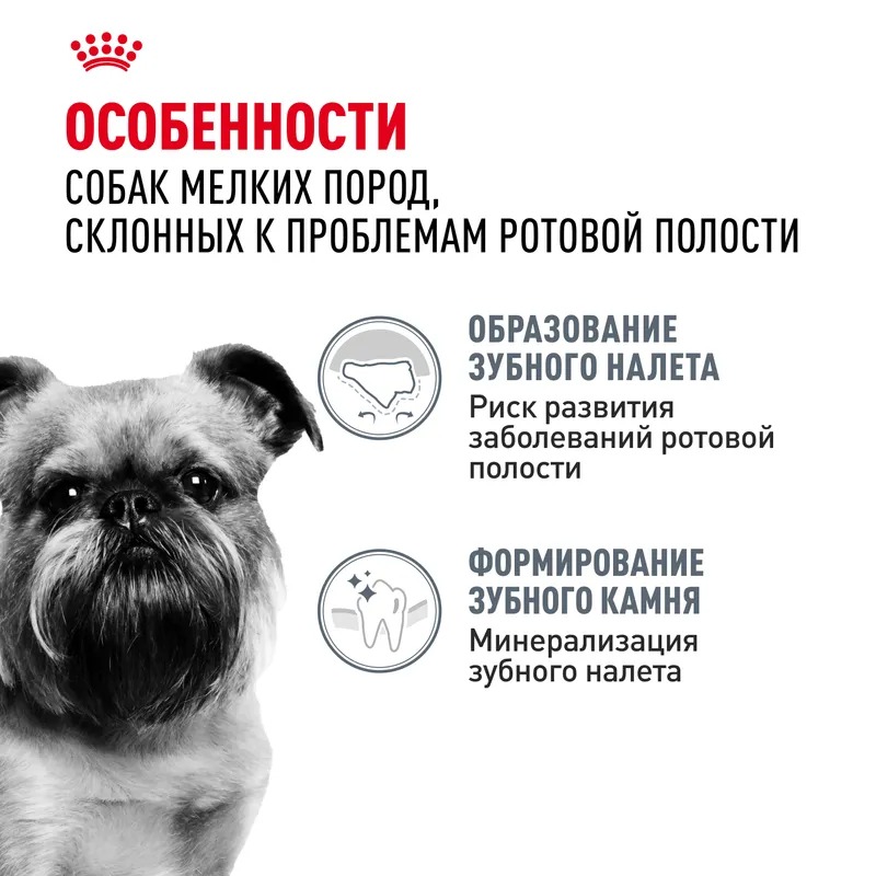Royal Canin Сухой корм для собак  Mini Dental Care, повышенная чувствительность зубов 3 кг