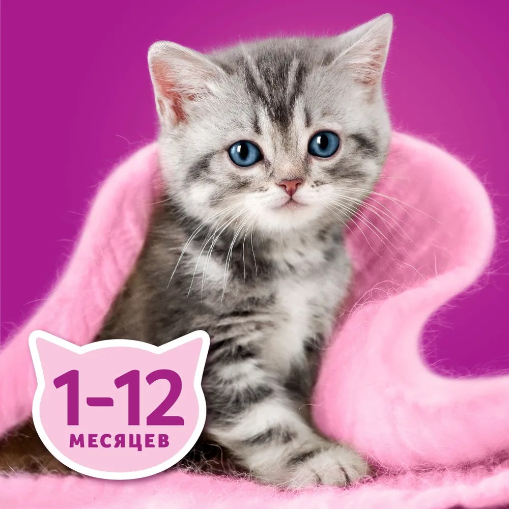 WHISKAS Влажный корм для котят Паштет с Курицей 75гр