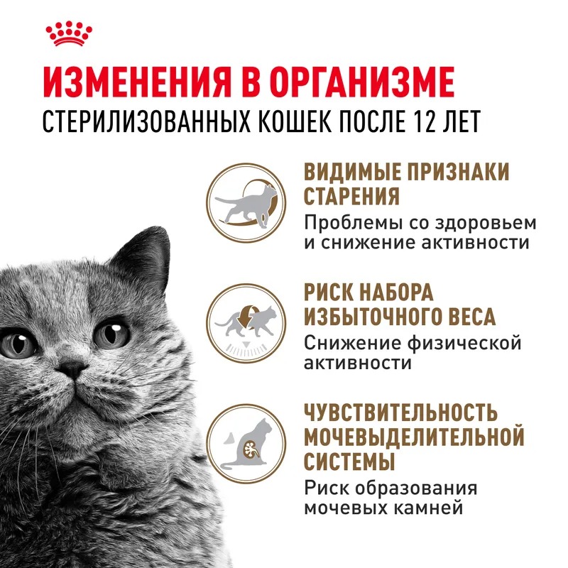 ROYAL CANIN Ageing 12+корм для стерилизованных стареющих кошек 400 гр 4627109380176