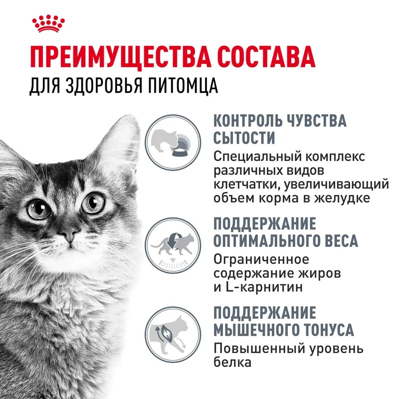 Royal Canin Light Weight Care Влажный корм для взрослых кошек профилактика избыточного веса, мелкие кусочки в соусе, 85гр