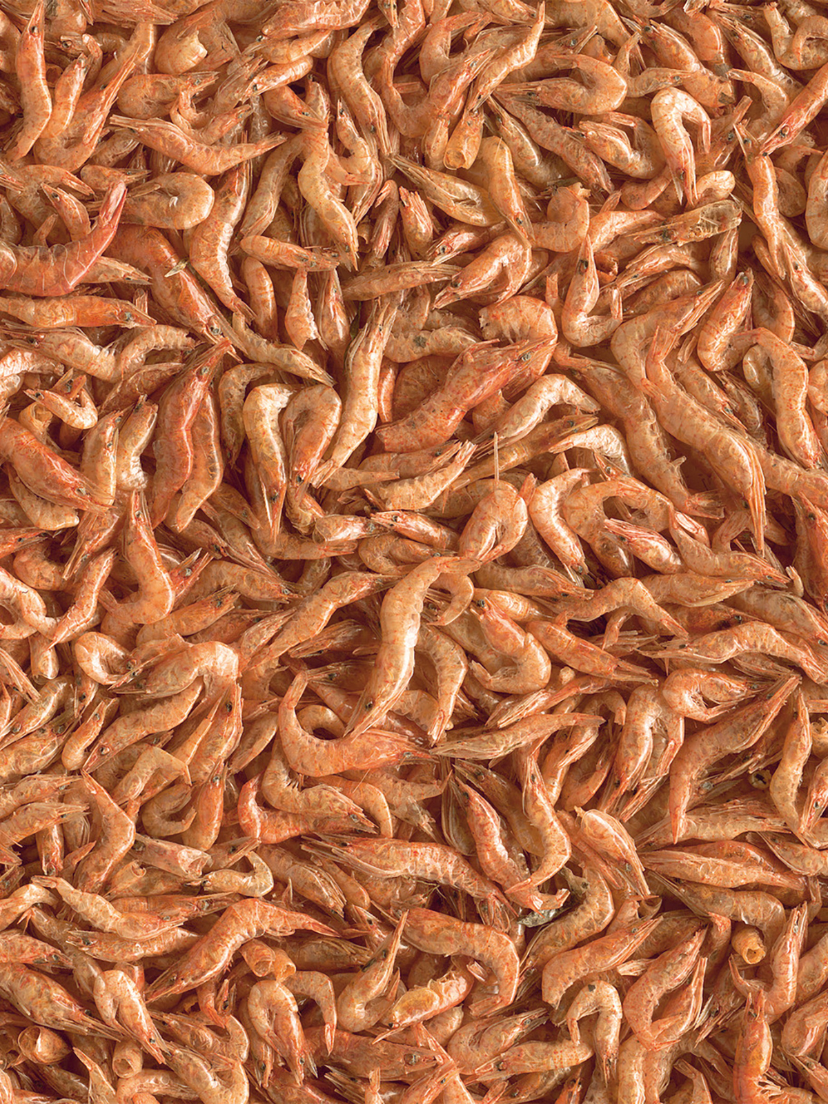 Tetra Repto Delica Shrimps креветки лакомство для водных черепах 250 мл