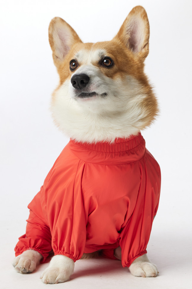 Дождевик LionPets Корги LPK-9125-29 на девочку Цвет: Оранжевый (девочка Размер 2 (спинка 50, обхват шеи 36-47, обхват груди 60-78))