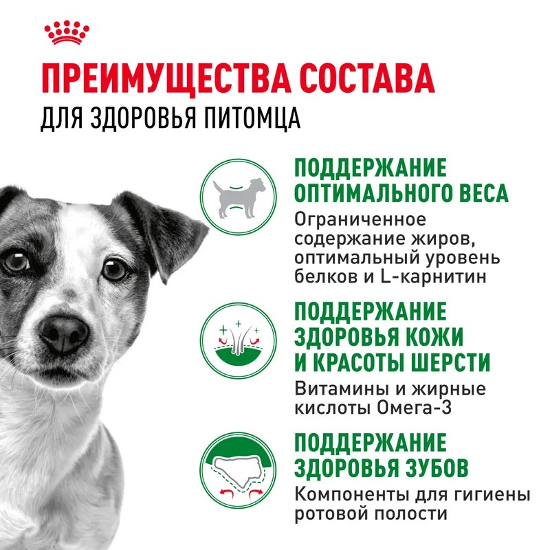 ROYAL CANIN ROYAL CANIN Mini Adult для взрослых собак мелких пород 8 кг 4627109384631