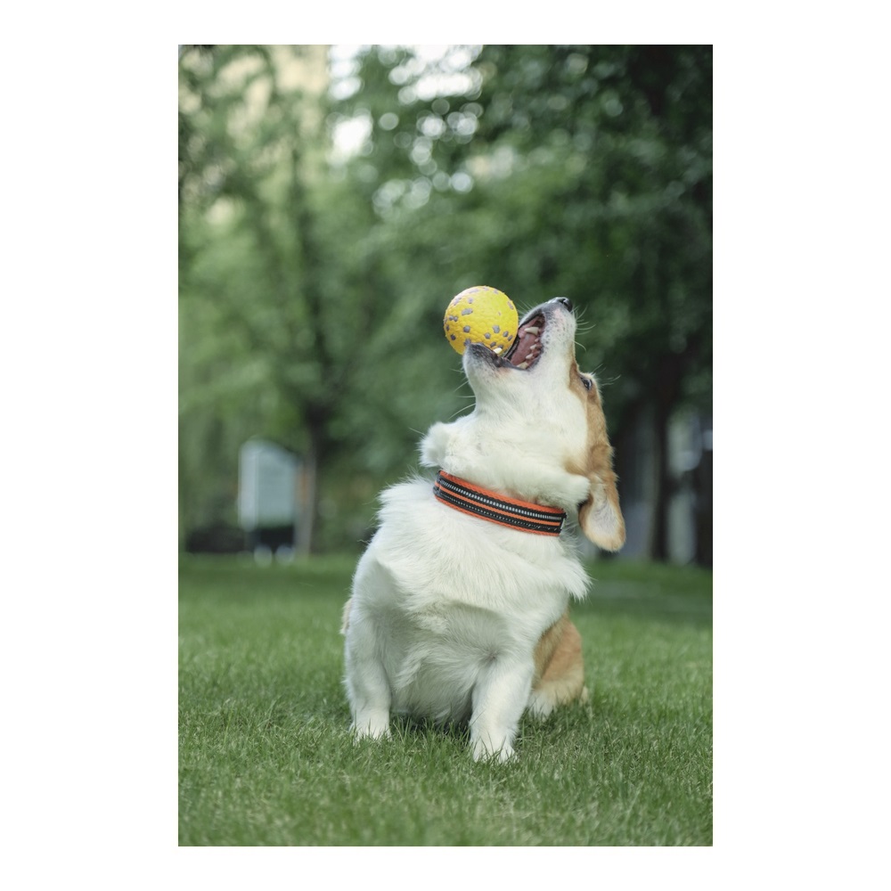 Игрушка для собак мяч Блум желто-серый, д. 7 см,  MPets 10643599