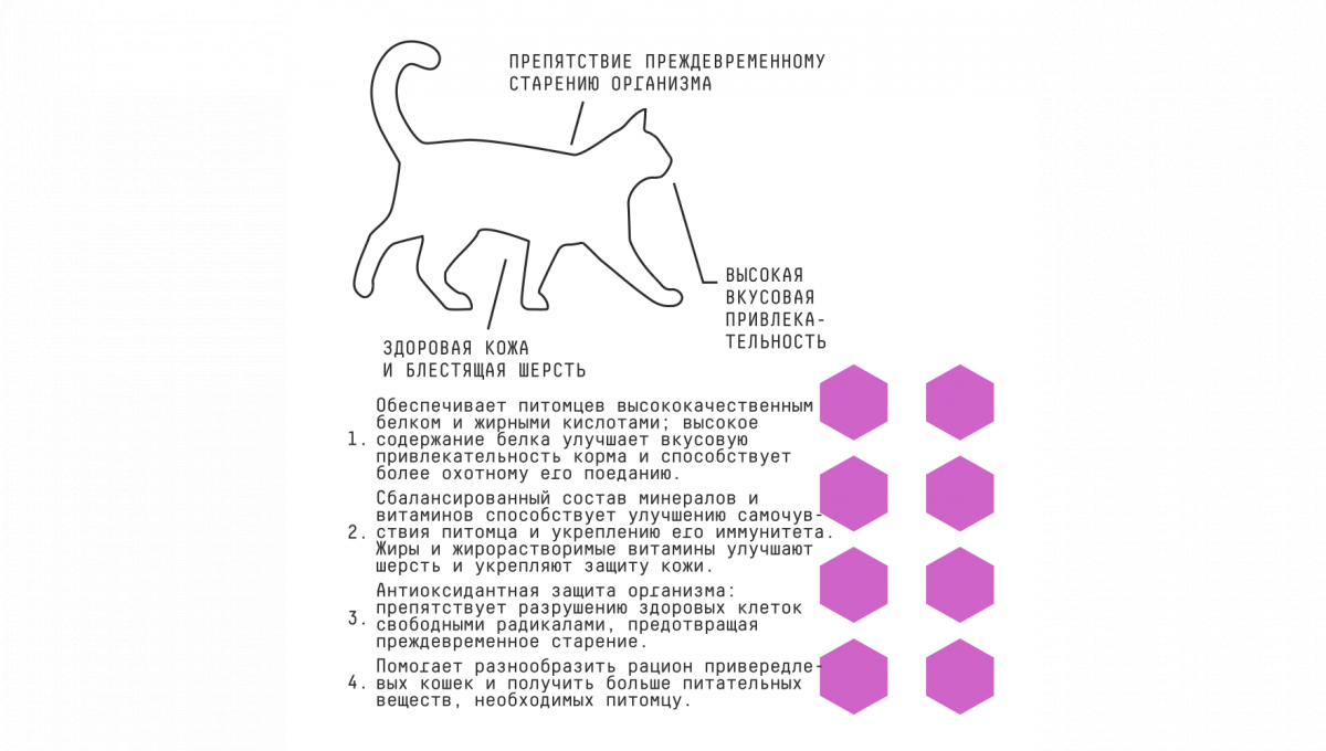 Ajo Сухой корм для привередливых кошек и котят Delicate Taste с индейкой 10 кг 4630169560297