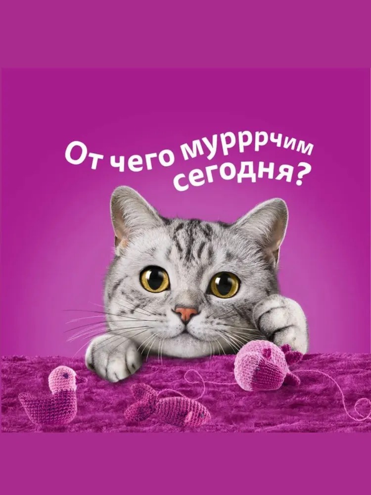 WHISKAS Влажный корм для кошек Желе с Лососем 75гр