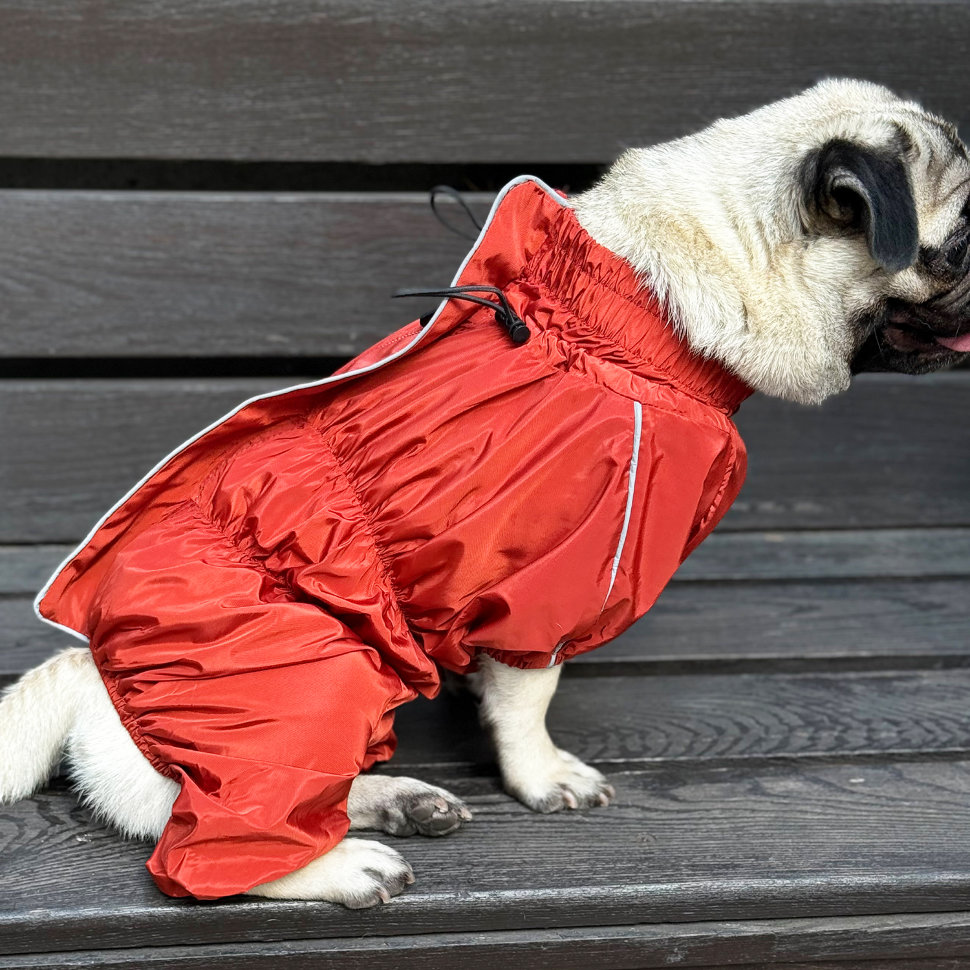 Дождевик для собаки LionPets Мопс LM9030-34 (девочка (спинка 33 см, обхват шеи 36-50 см, обхват груди 34-48 см))