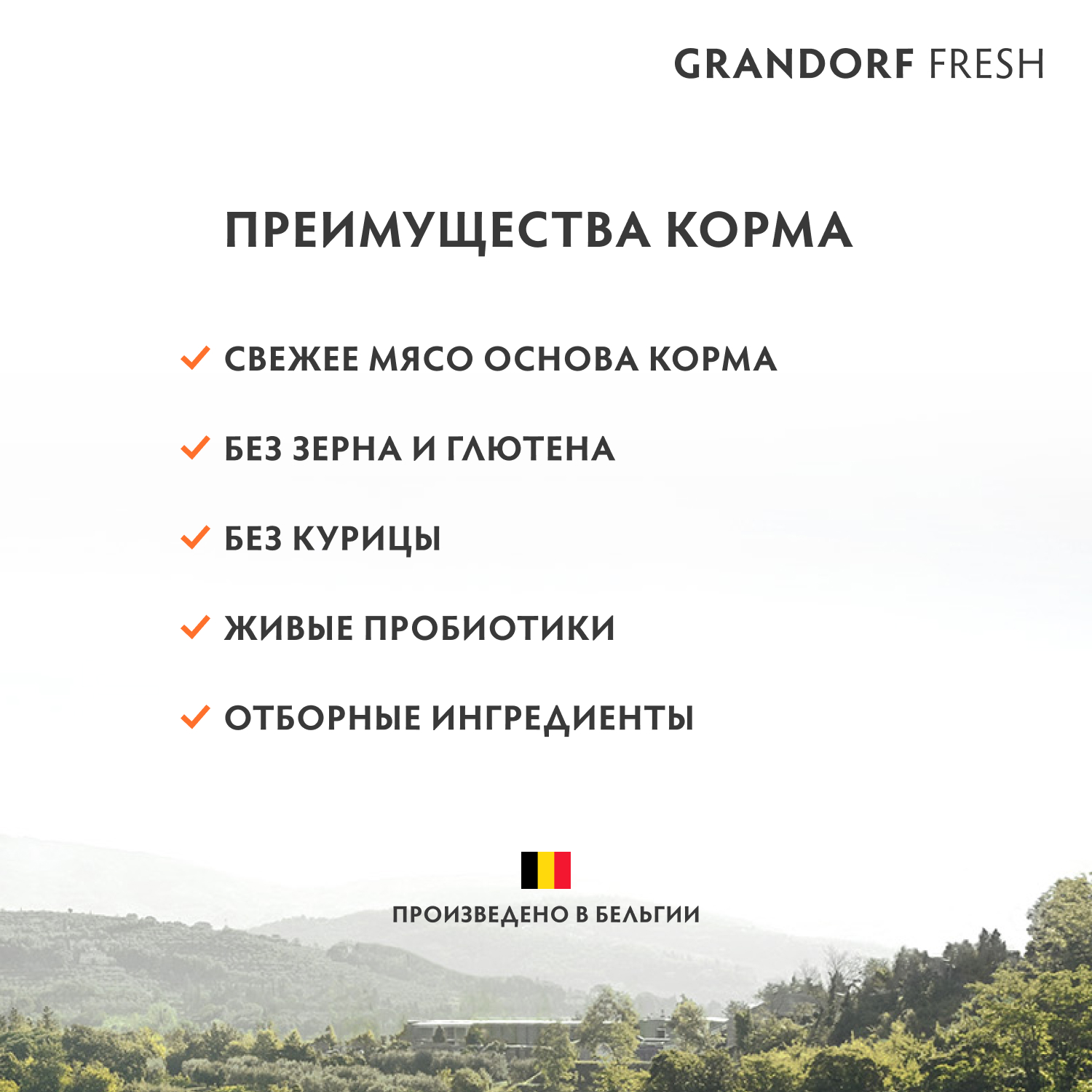 Grandorf Fresh Grandorf Сухой беззерновой корм для мелких собак с лососем 1 кг 5407007852819